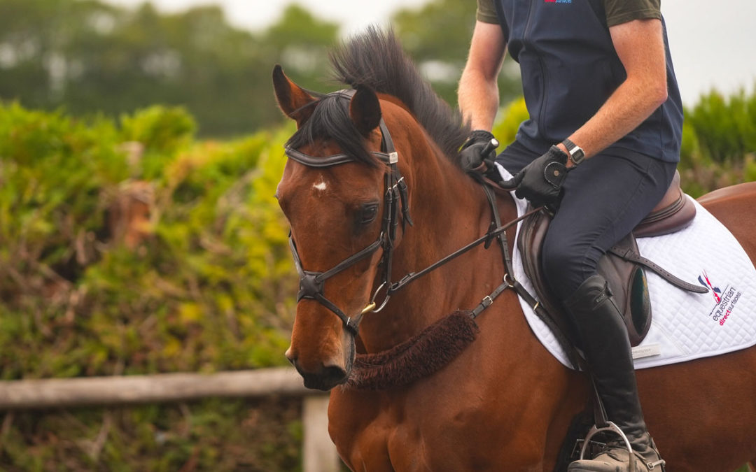 Your Training Surface Could Be Holding You Back