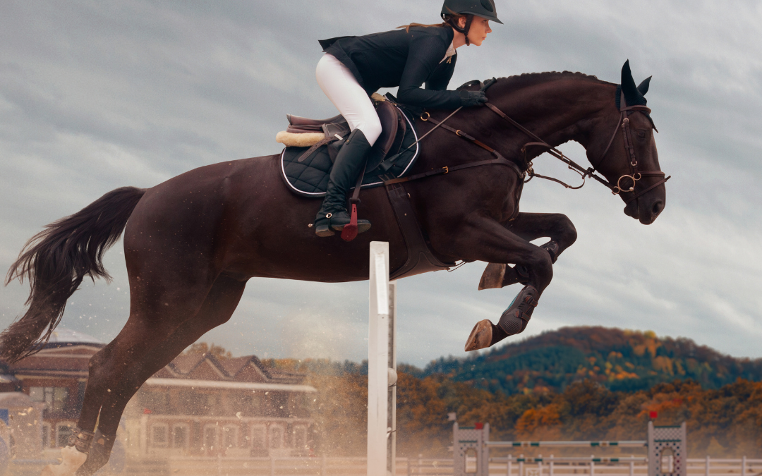 The Do’s and Don’ts of Equestrian Surface Upkeep