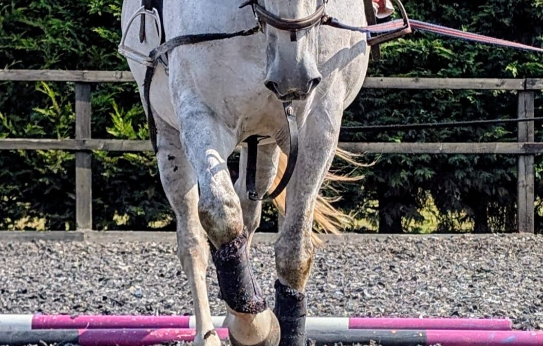 Pole Work Starts from the Ground Up: Why Your Arena Surface Matters